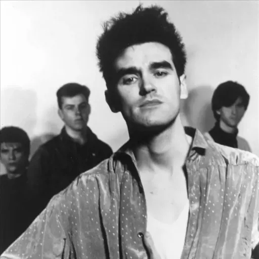 The Songs that Saved Your Life - Inside The Smiths