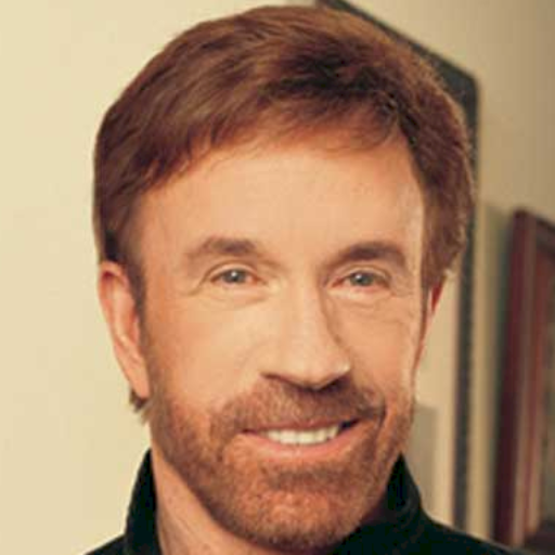 Chuck Norris on the GPT Store