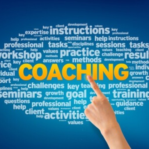 "Executive Coaching online"