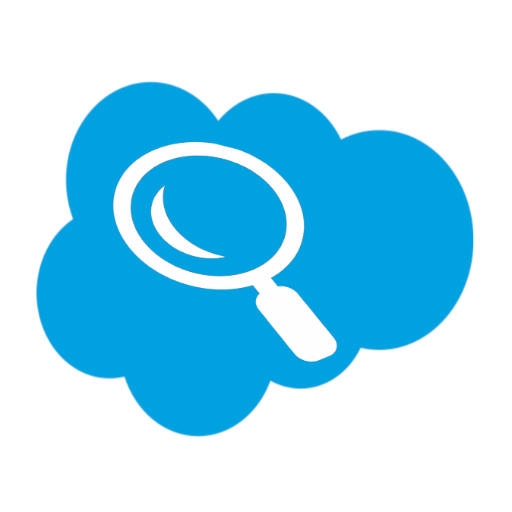 Salesforce Org Discovery Copilot