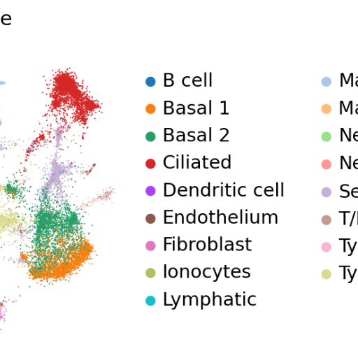 Scanpy, Your Single Cell RNA-seq Data Analyst