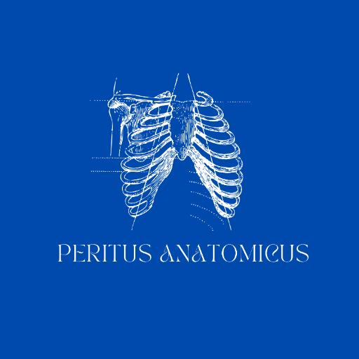 Peritus Anatomicus – An Expert Anatomist.