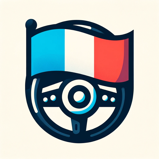 French Driver's License Guide for Foreigners logo