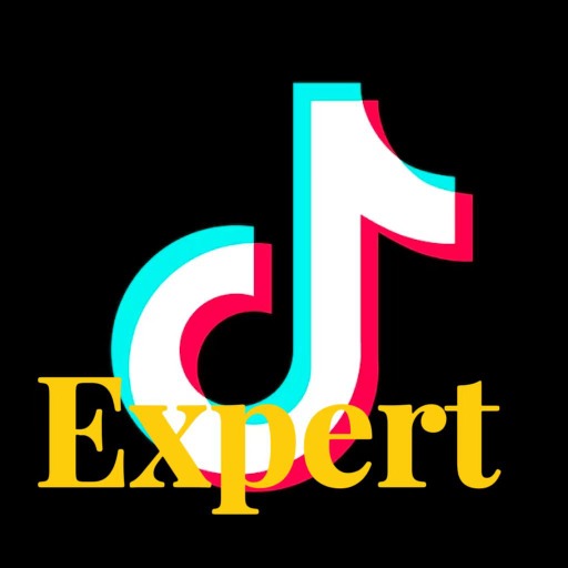 TikTok Expert logo
