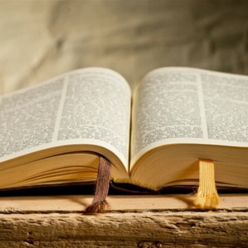 Bible Companion: Your Personal Scripture Guide