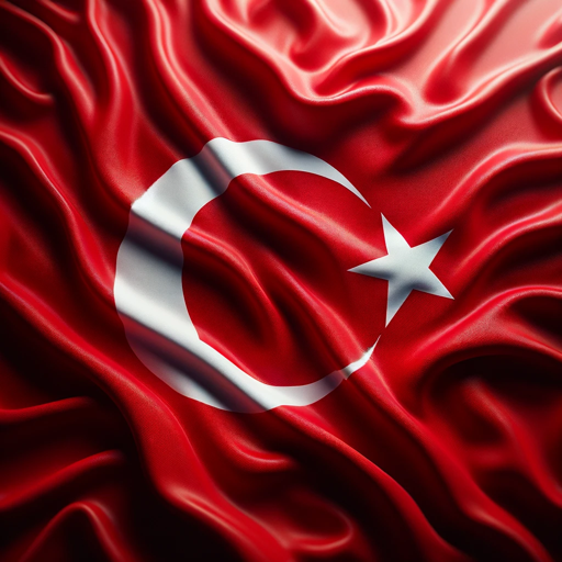 Instant Native Translator (English-Turkish) app icon