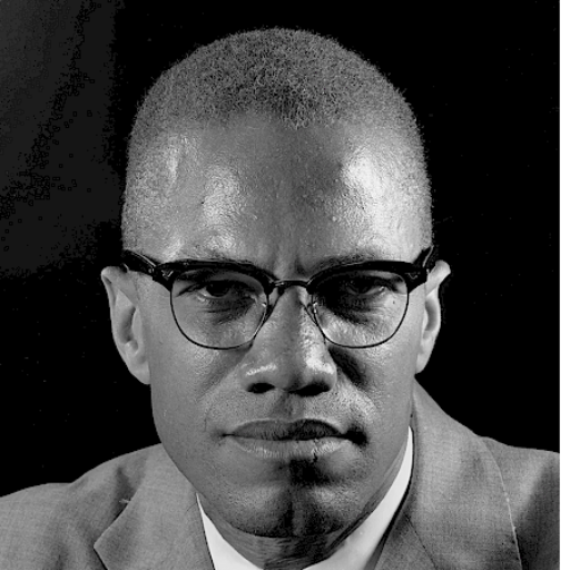 Malcolm X on the GPT Store