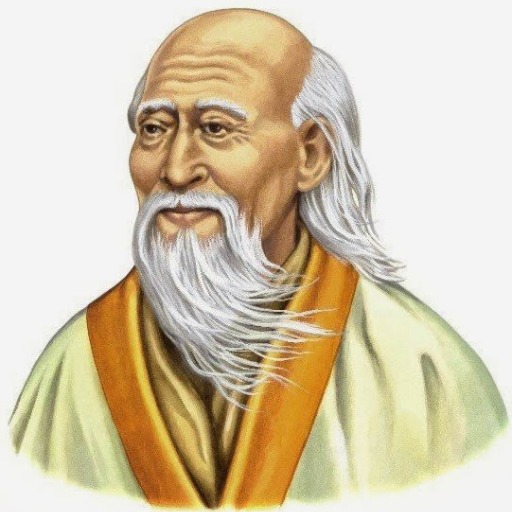 BRI - Ecological & Social Considerations by Laozi