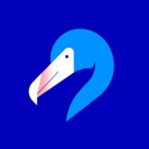 Blue Flamingos Blogs
