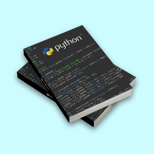 Python Simulator