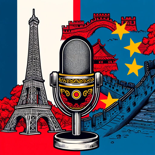 Chinese French Voice Translator