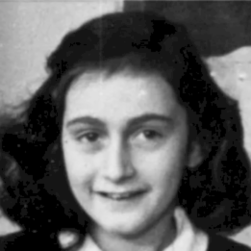 Anne Frank on the GPT Store