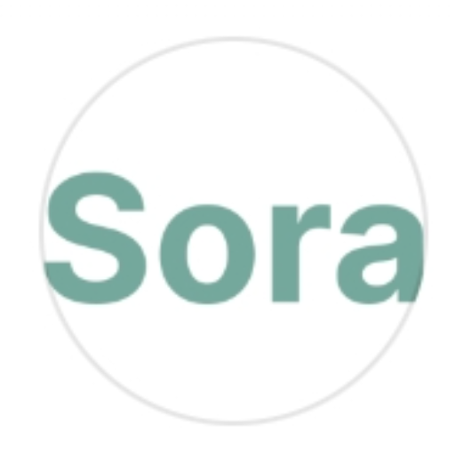 のSora Video