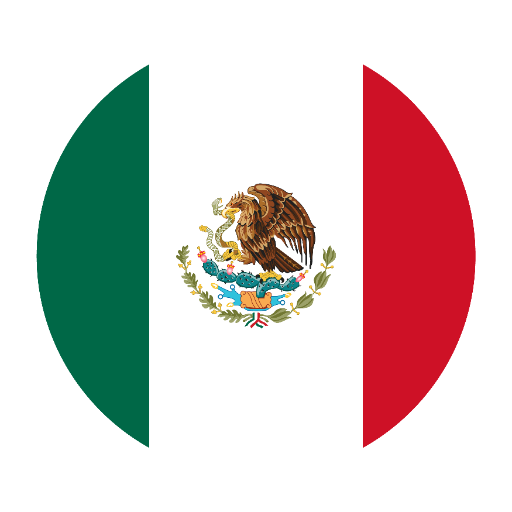 Mexico Immigration Assistant