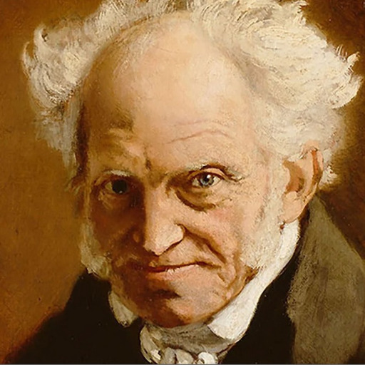 Getting Schopenhauer