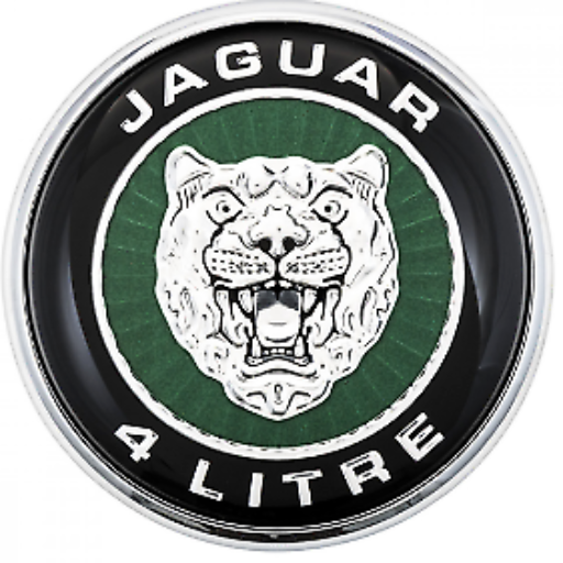 Esperto Jaguar XK8 e XKR