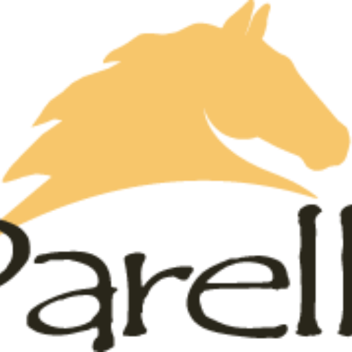 Parelli Natural Horsemanship Schweiz