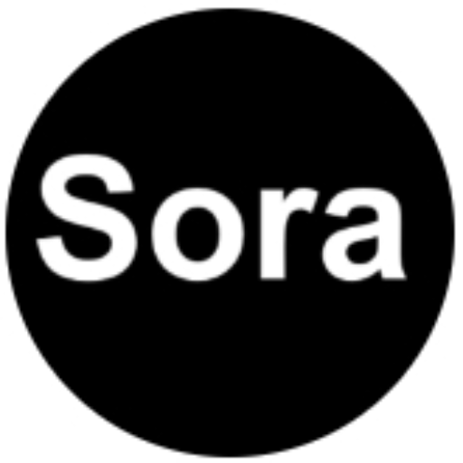 のSora Make Video