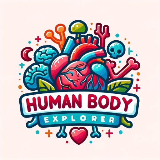 Human Body Explorer on the GPT Store