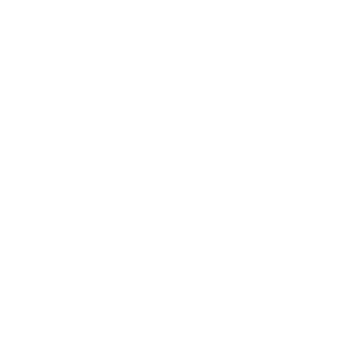 Festival Insider