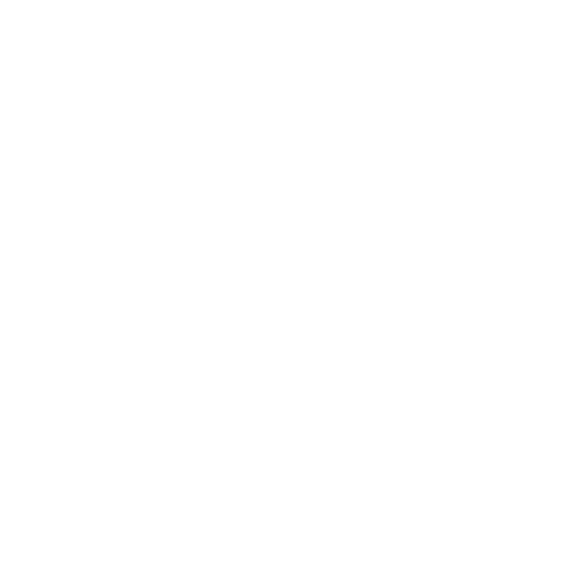 REVIEW MAGNET