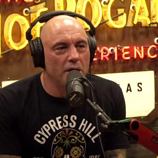 Joe Rogan Pod GPT