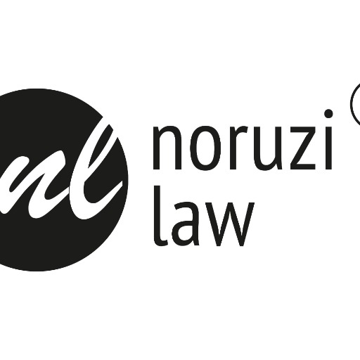 Noruzi Law GPT